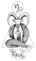 Capricorn 4