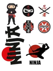 Ninja Set