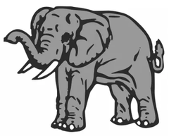 Coloured Elephant thumb 1