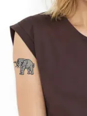 Coloured Elephant
