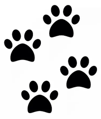 Dog Paws thumb 1