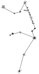 Aquarius 2