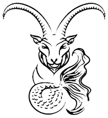 Capricorn 1