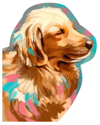 Farben des Golden Retrievers image