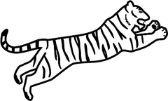 Tigre Minimalista thumb 2