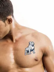   Cão corajoso
