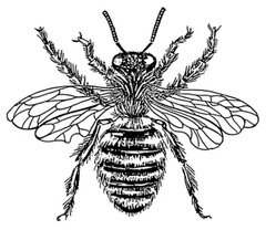 Bee Tattoo Detail thumb 1