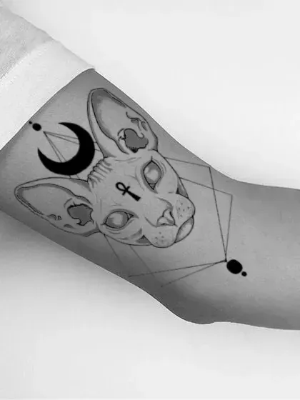 Egyptian cat image