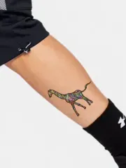 Colorful Giraffe