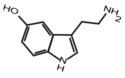 Fórmula de serotonina image