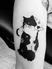 Cat with Moon