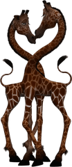 Giraffes in Love thumb 2