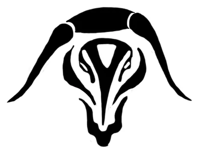 4 of Taurus image