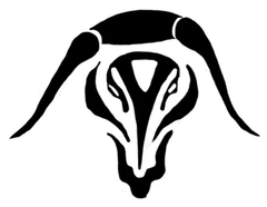 4 of Taurus