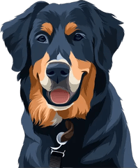 Rottweiler – Tatuajes temporales de animales