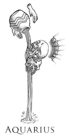 Aquarius 6 image