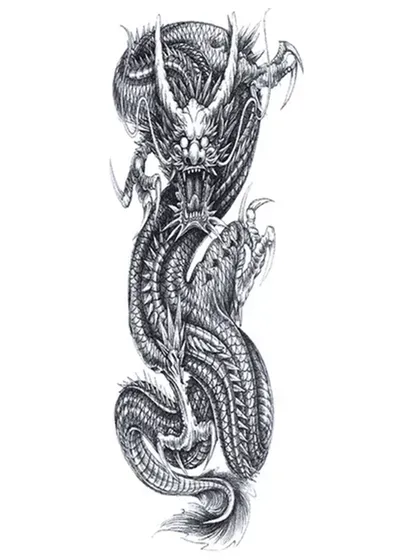 Black Dragon 1 image