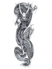 Black Dragon 1