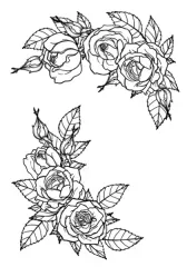 Chest Rose Set