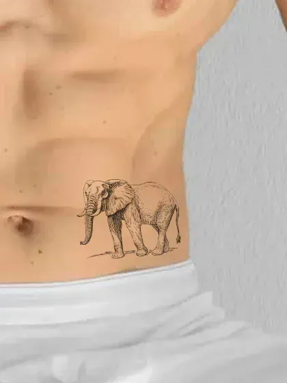 Elephant image