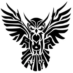 Owl #1