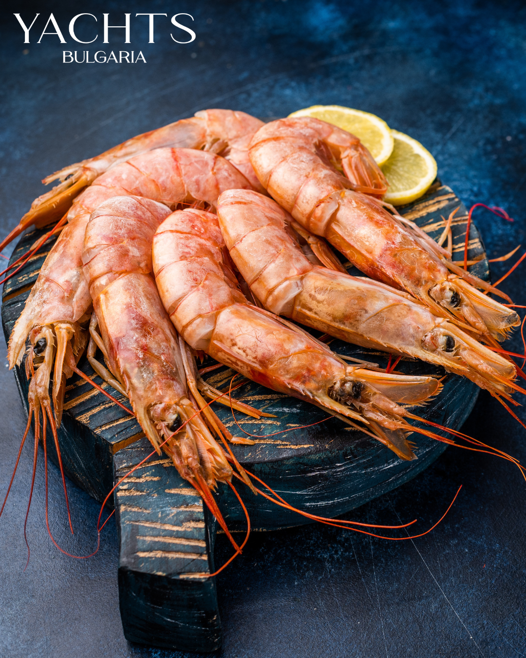 Неозаглавен дизайн (17).png Неозаглавен дизайн (17).png