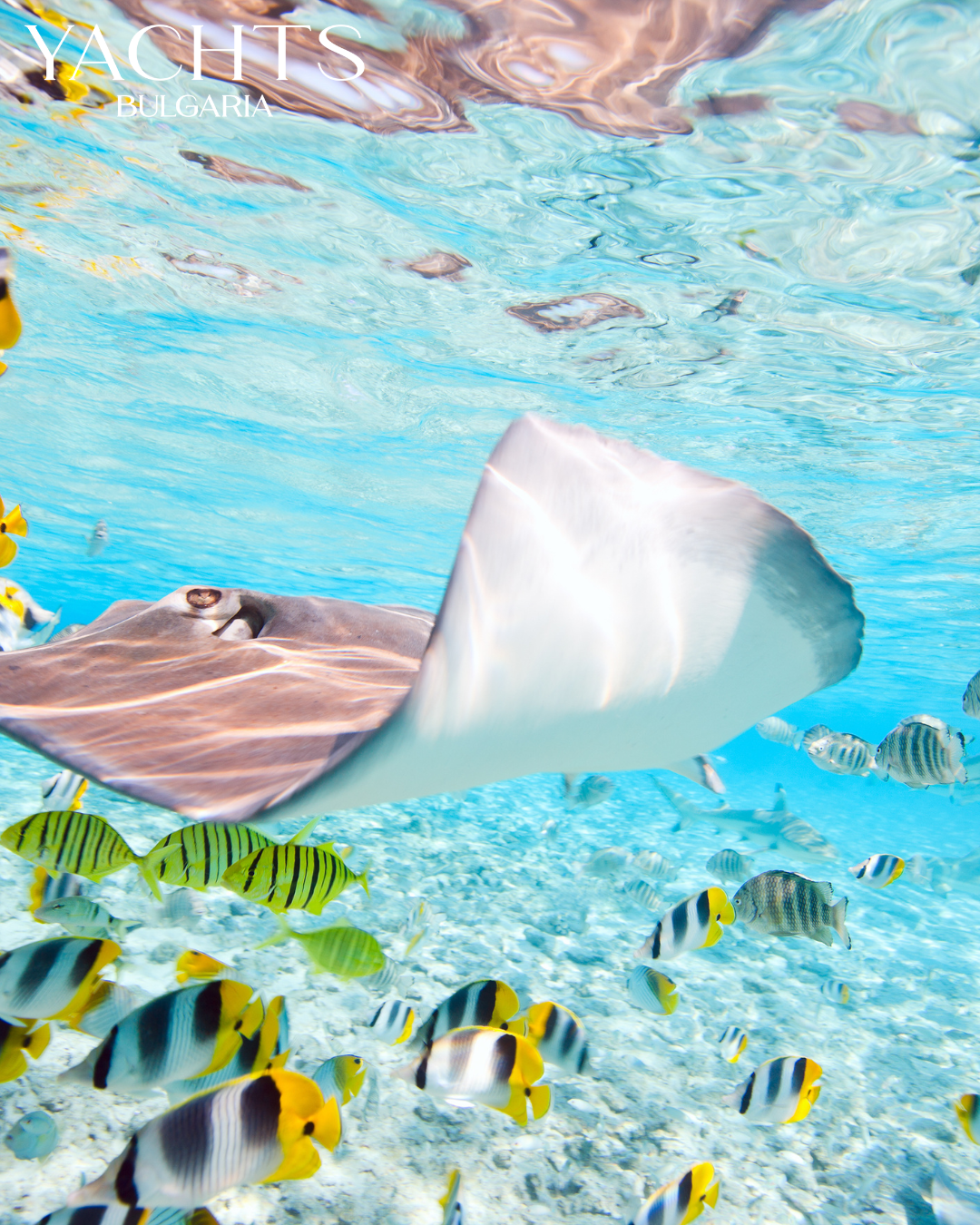 Неозаглавен дизайн (22).png