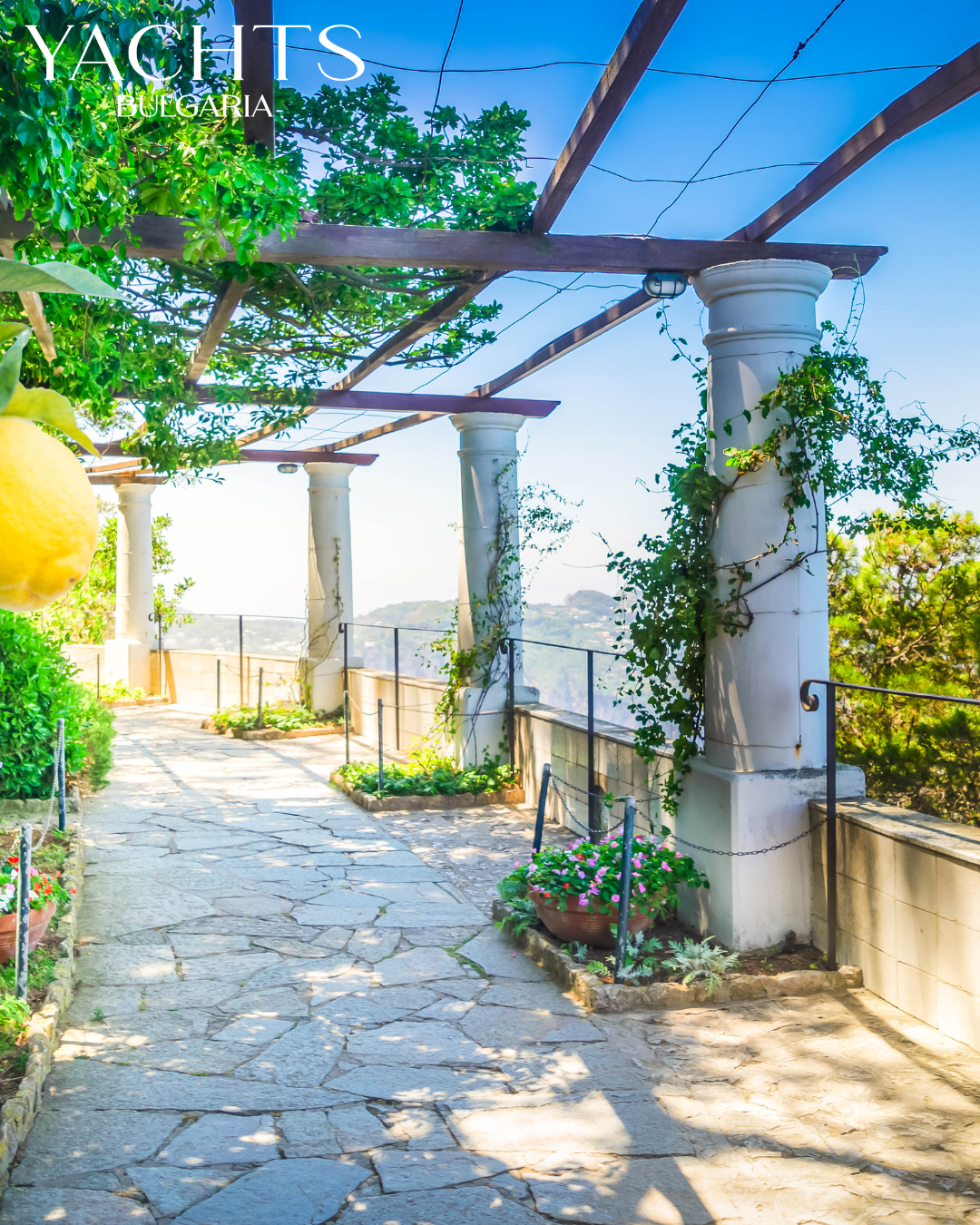 Неозаглавен дизайн (25).png