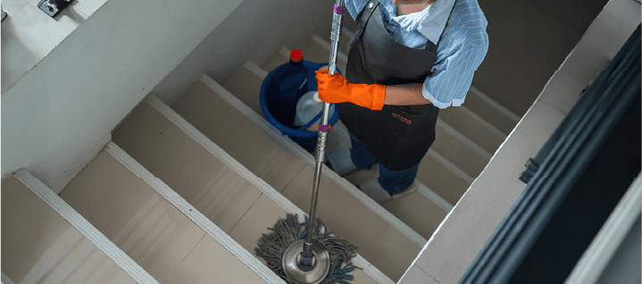 Apartment / House / Strata Cleaning