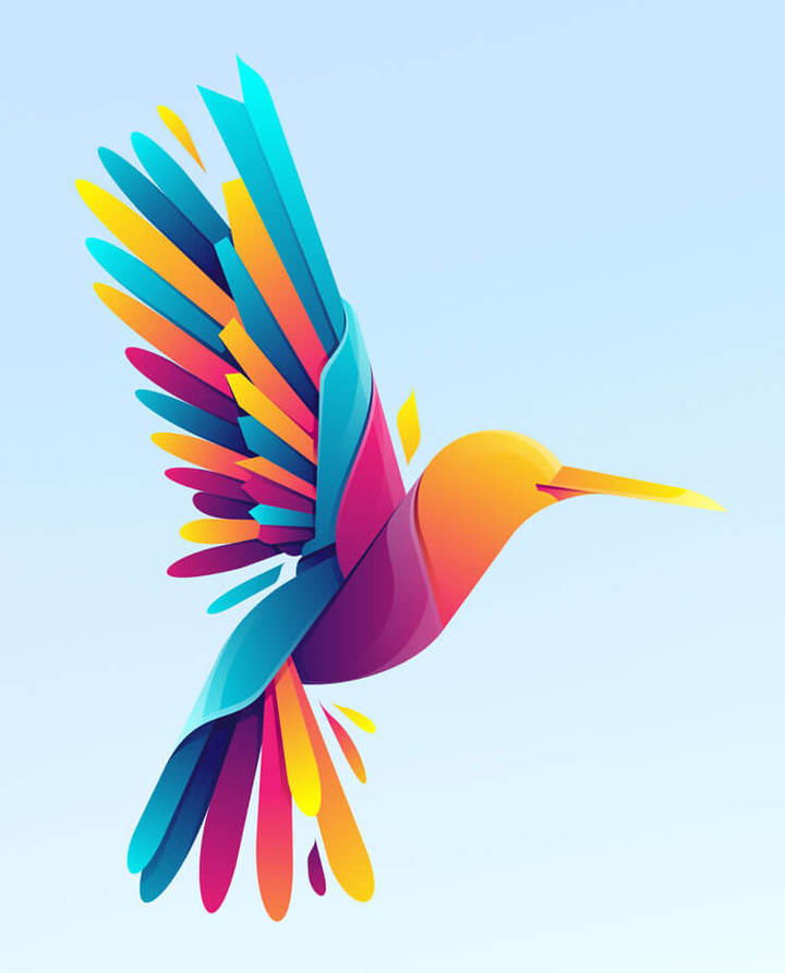 Bird thumbnail submitted as the hero image for this test page