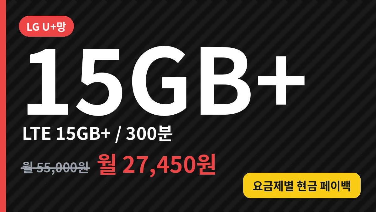LTE (15GB+/300분)
