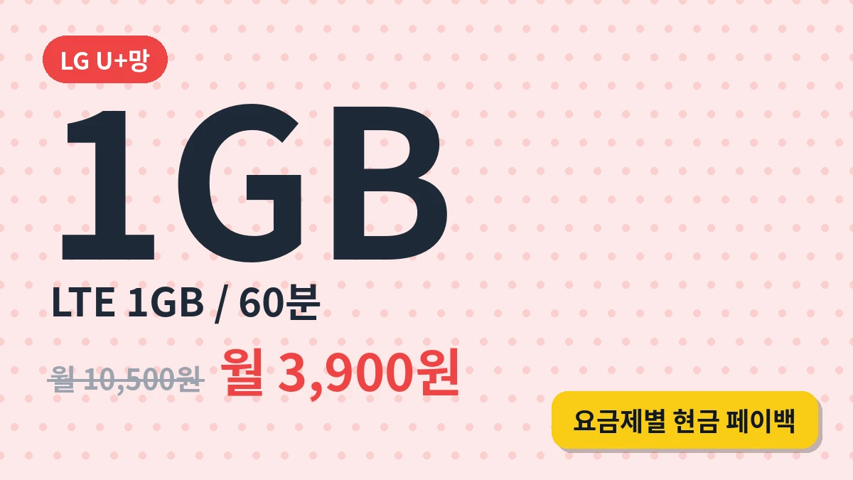 LTE (1GB/60분)