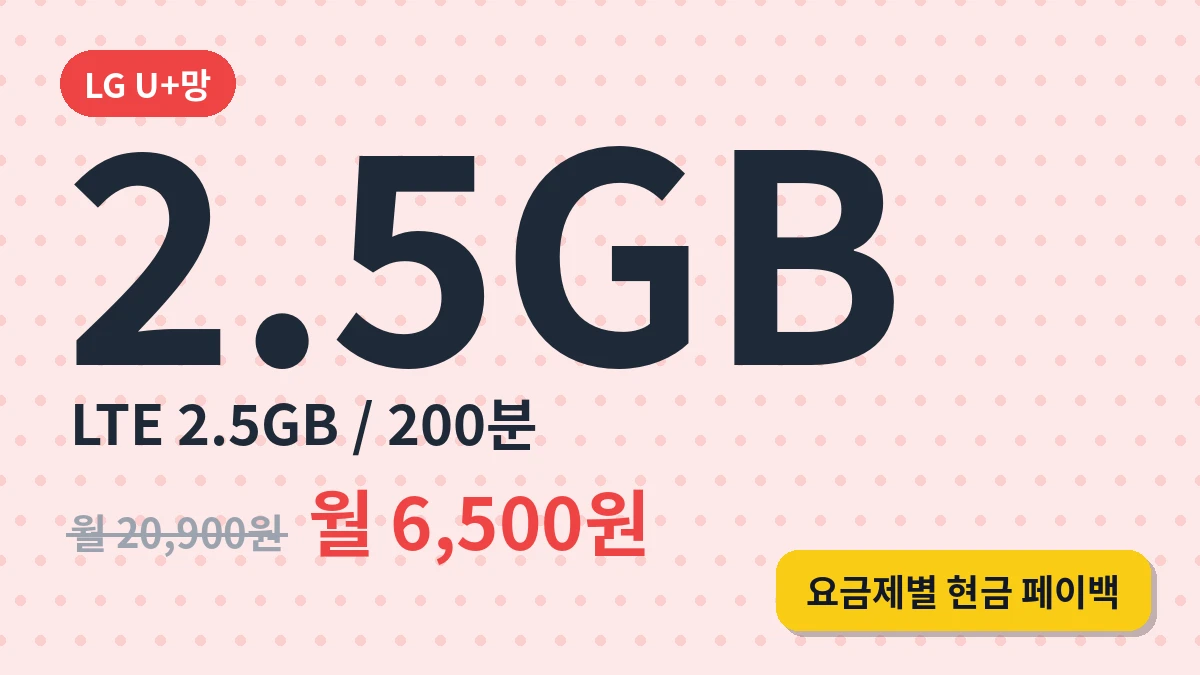 LTE (2.5GB/200분)