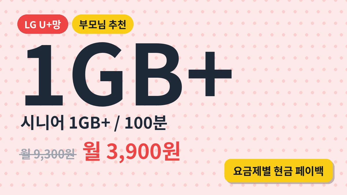 시니어 (1GB+/100분)