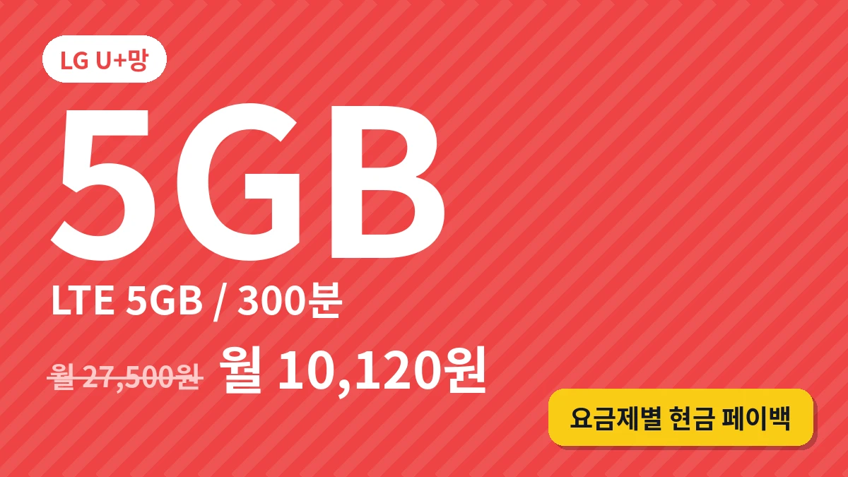 LTE (5GB/300분)