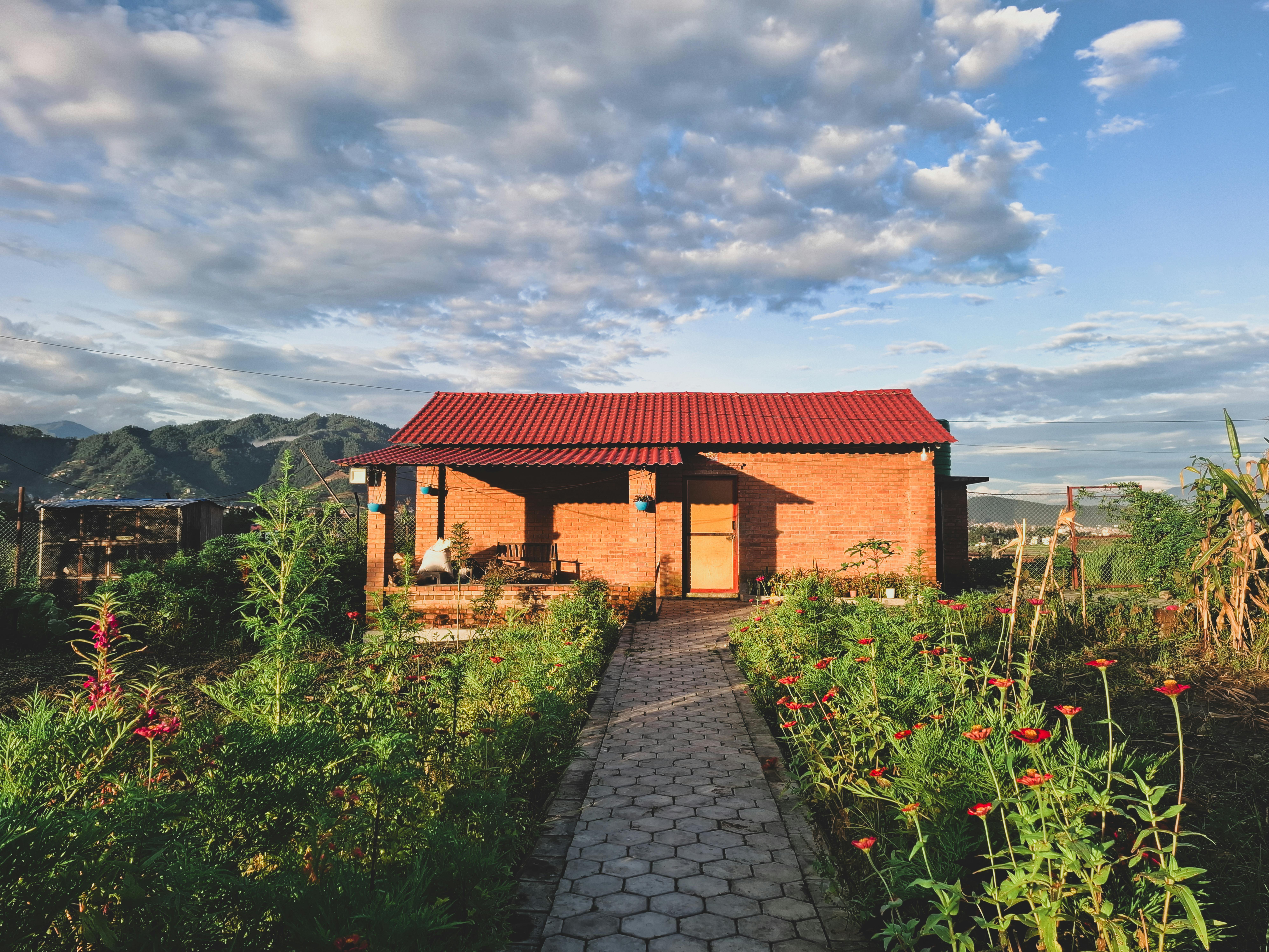 A photorealistic image of a backyard transformed into an outdoor living space, featuring a durable, eco-friendly wooden deck with solar-powered outdoo