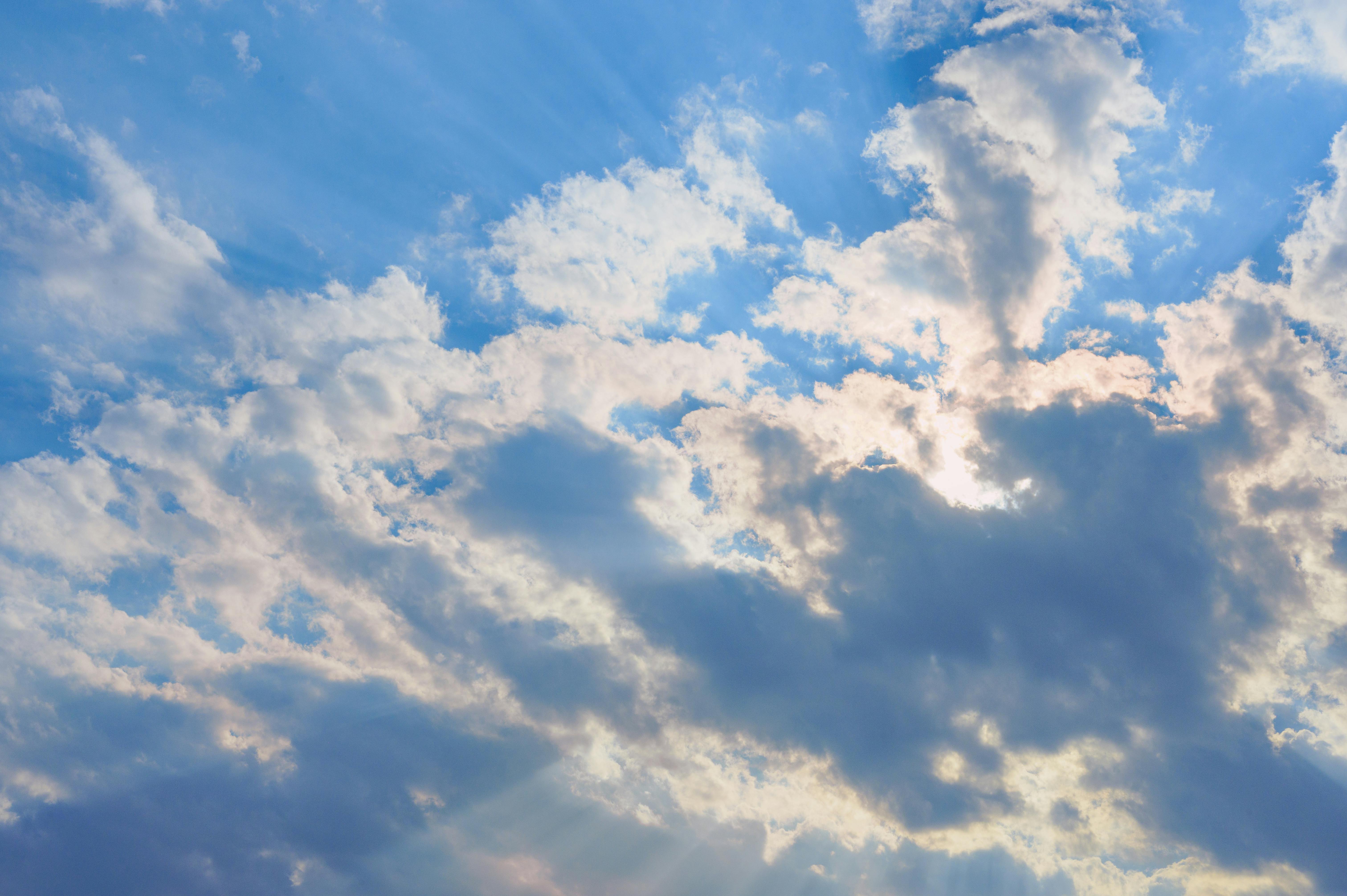 Create an image featuring a diverse array of air conditioning units, including a central air conditioner, ductless mini-split system, and a heat pump.