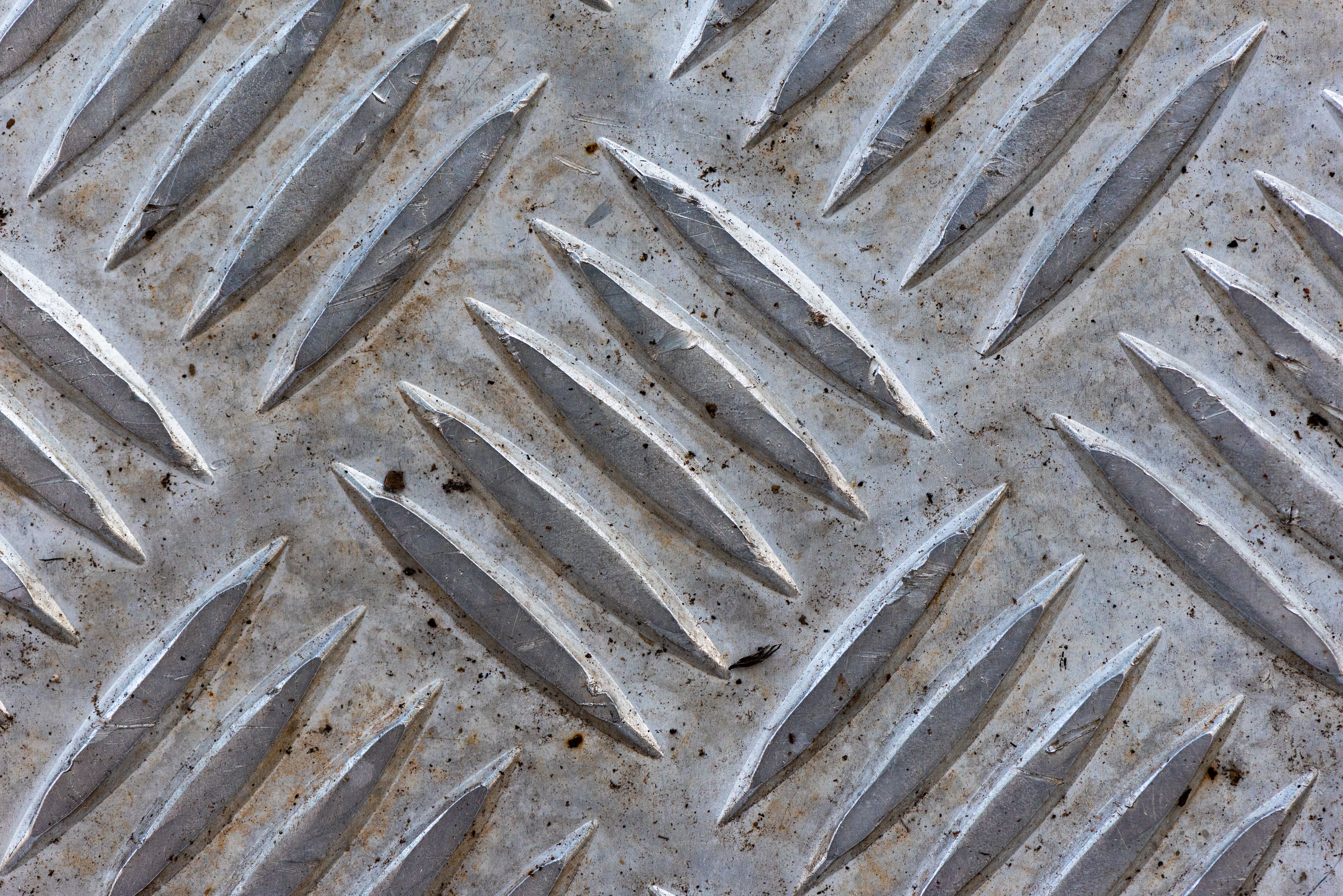 A detailed view of mudroom flooring options, showcasing a side-by-side comparison of tile and sealed concrete. The image should highlight the durabili