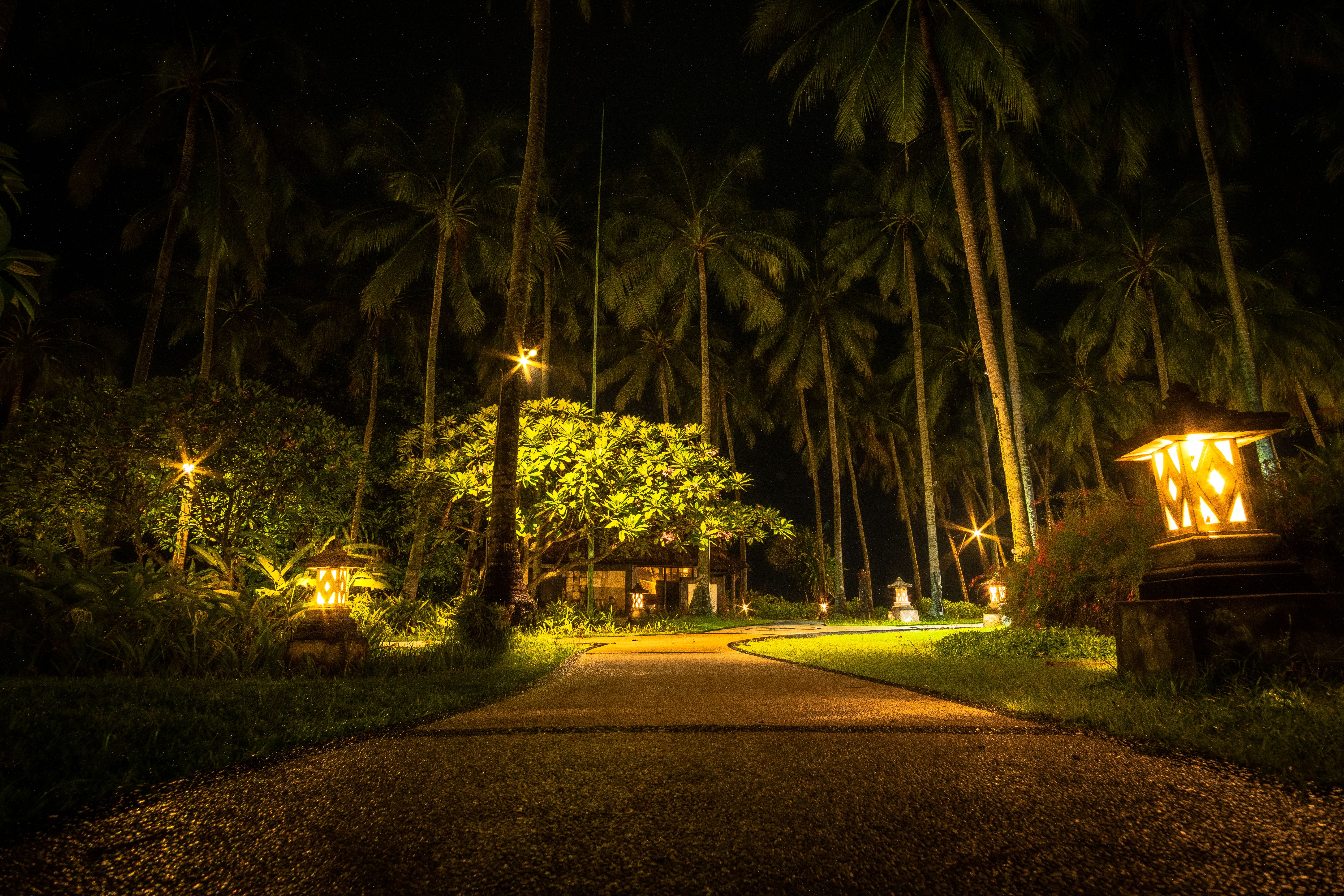 An illustration of different types of outdoor lighting, including ambient, task, and accent lights. The image shows how these lights are used to creat