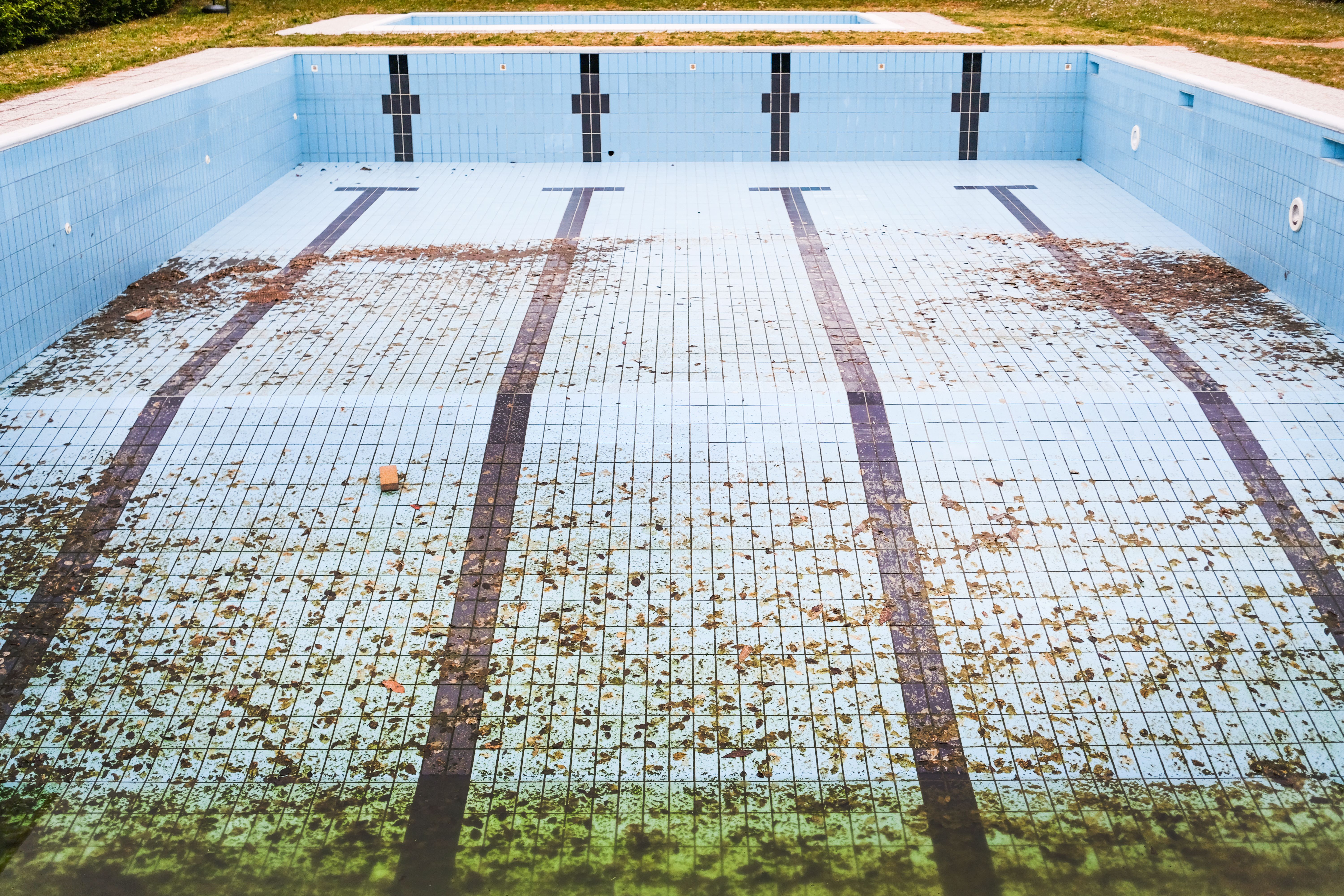 Close-up of a person skimming a swimming pool, with a focus on the net capturing leaves and debris on the water surface, surrounded by bright sunlight