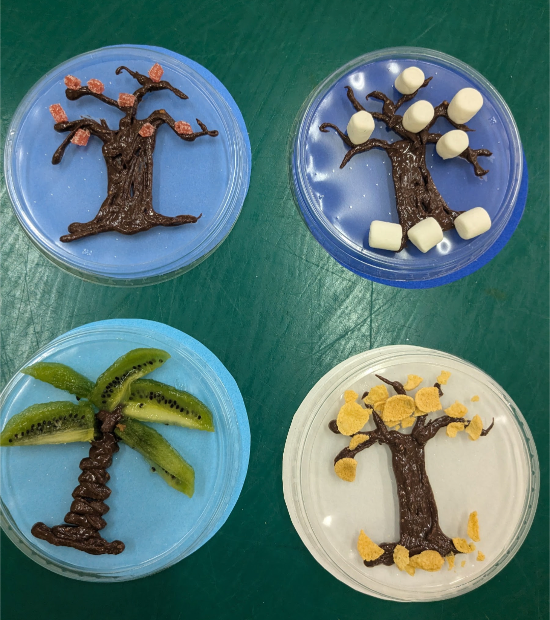 4 seasons edible