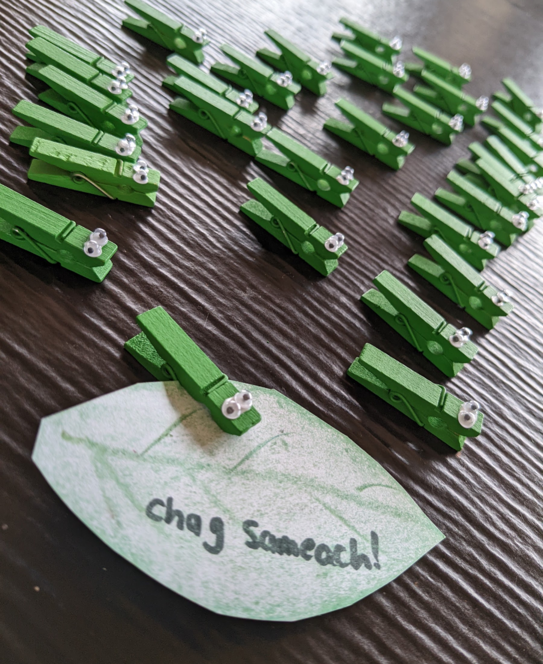 Grass hopper card holders