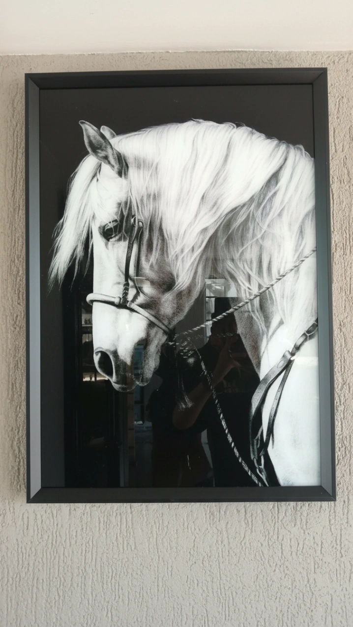 White horse - Resim 2