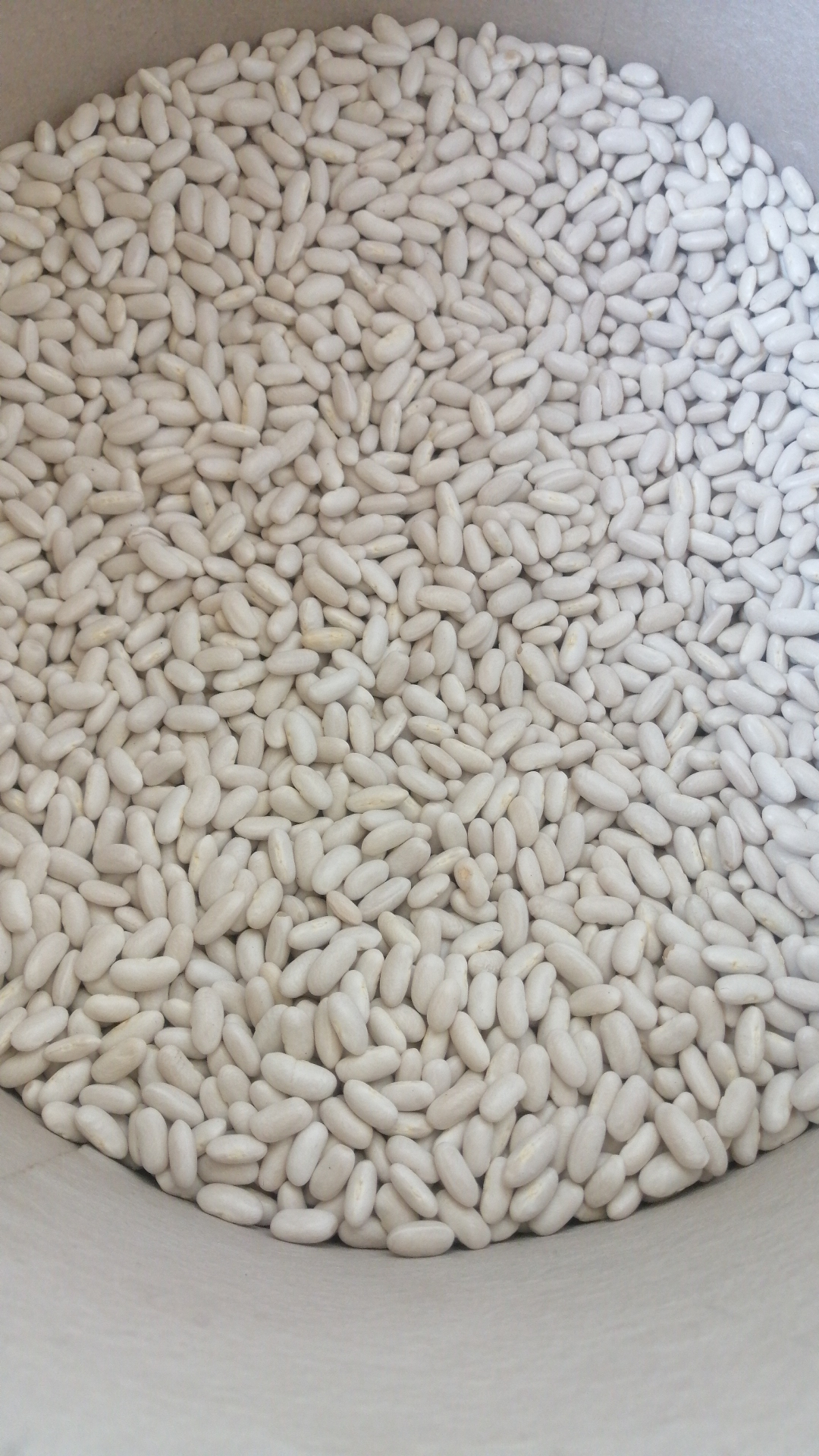 Bean