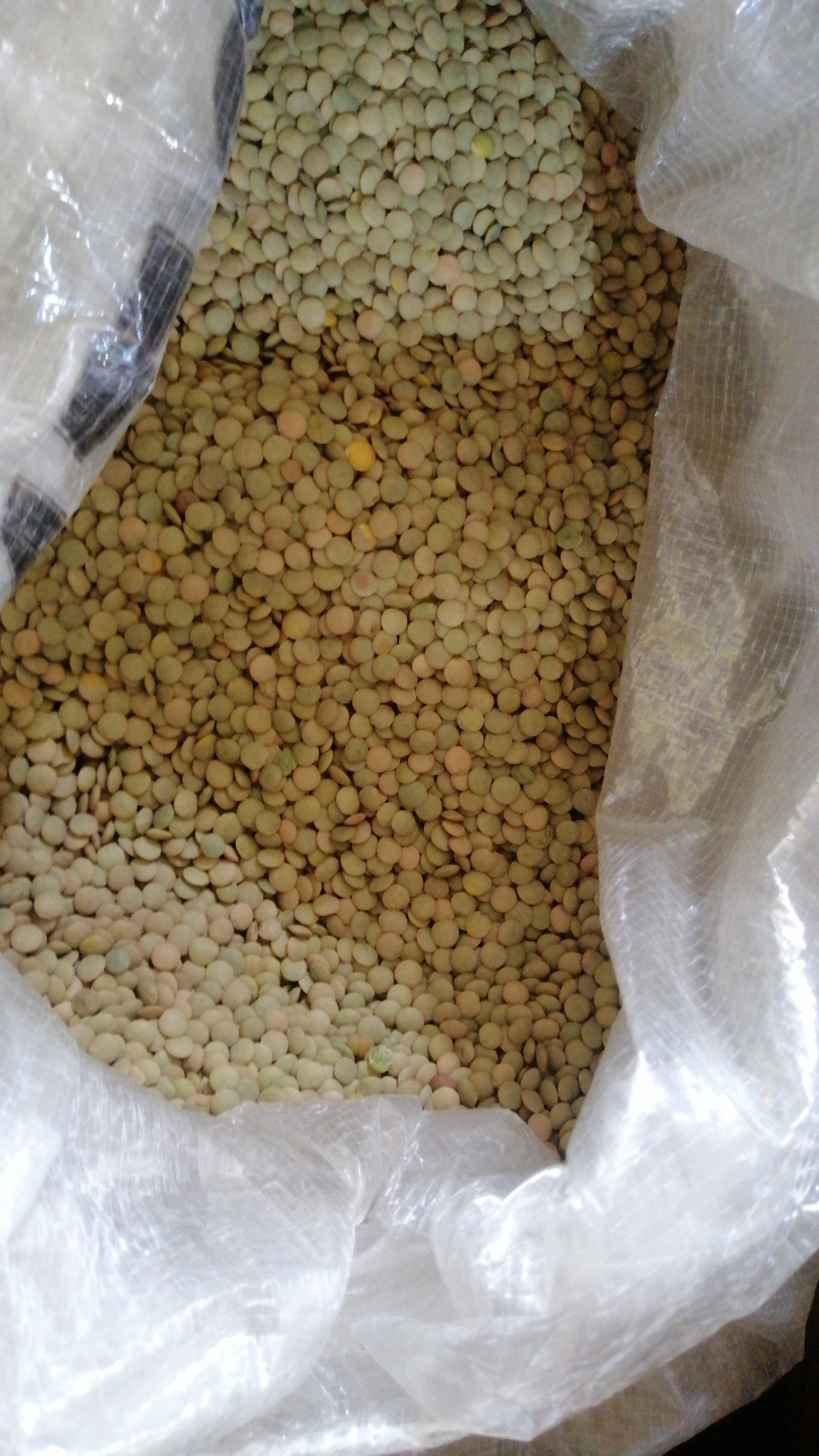 Lentils