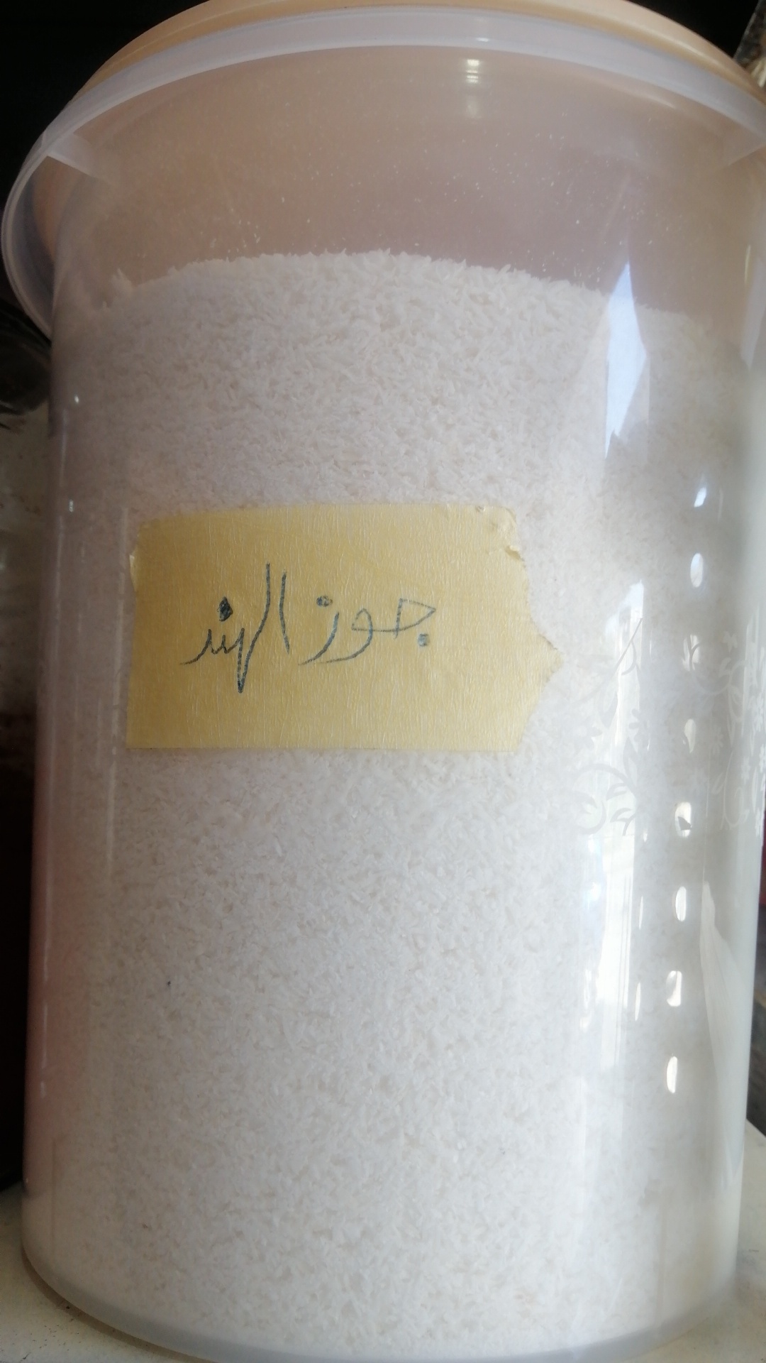Coconut 