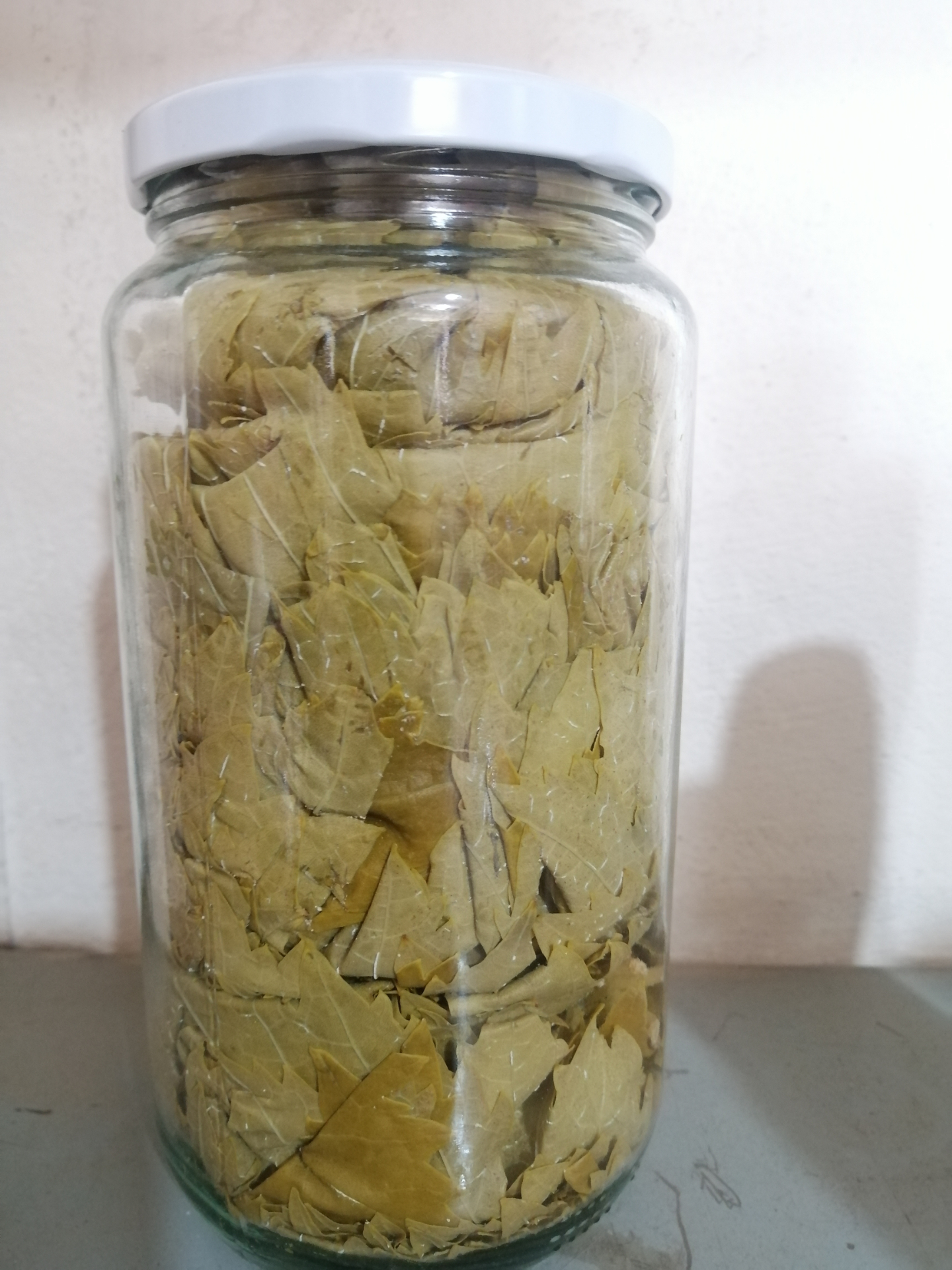 Grape leaves 