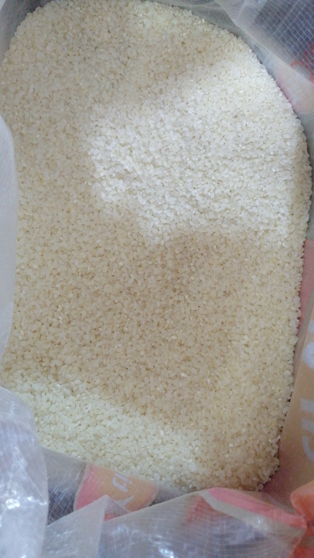 Masri rice 