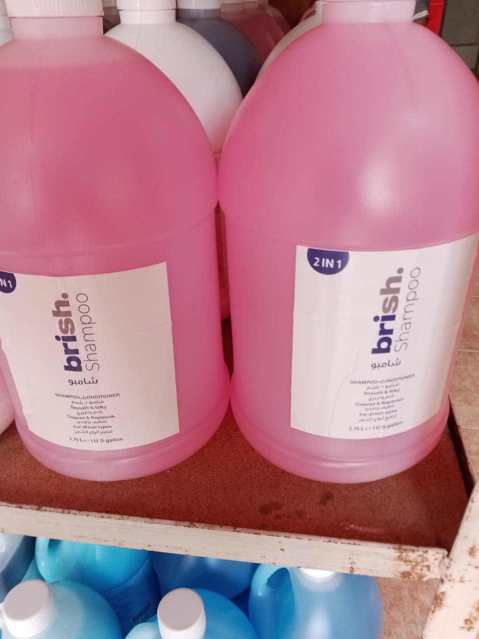 Shampoo 