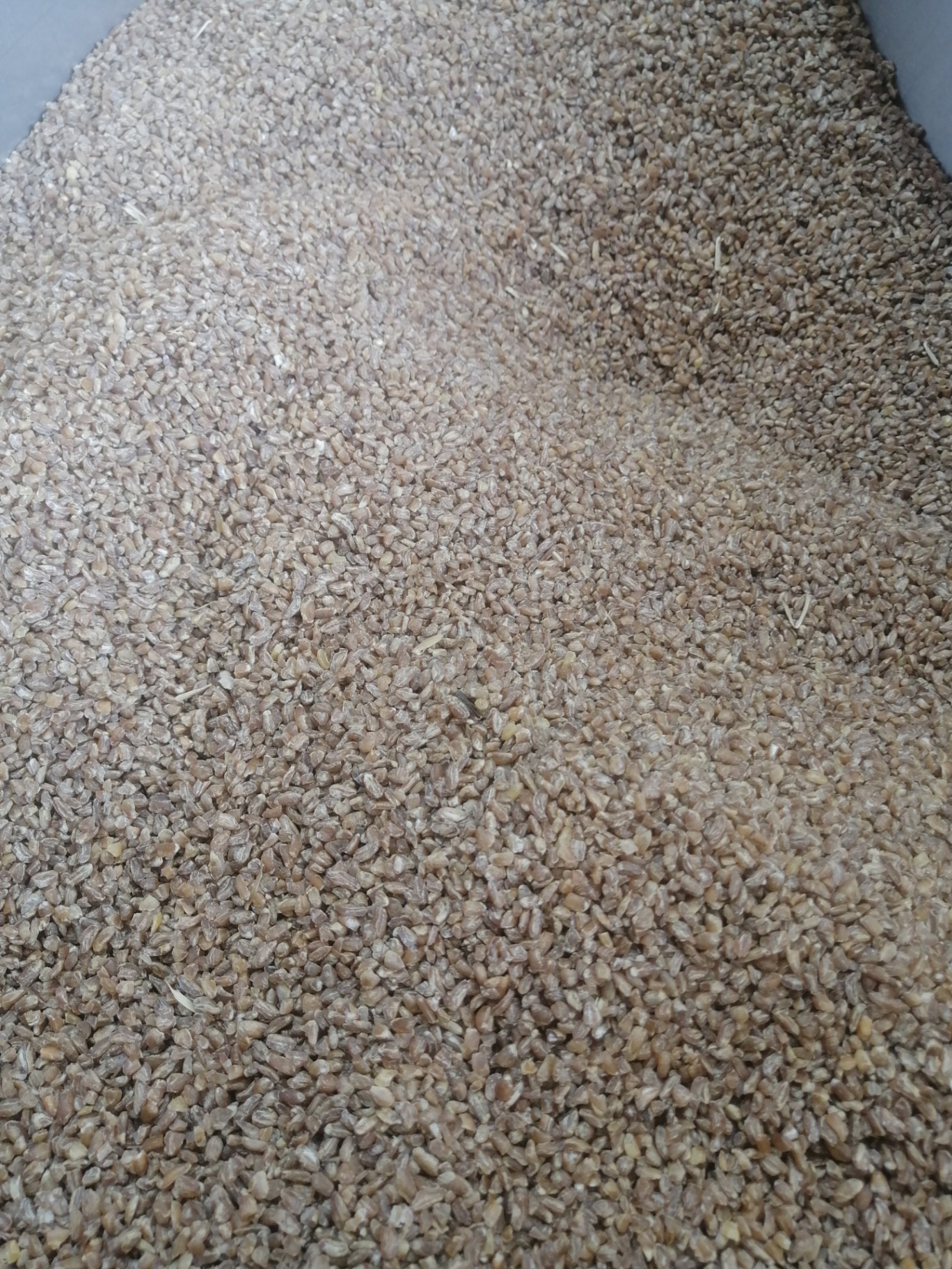 Brown Zmatiye 